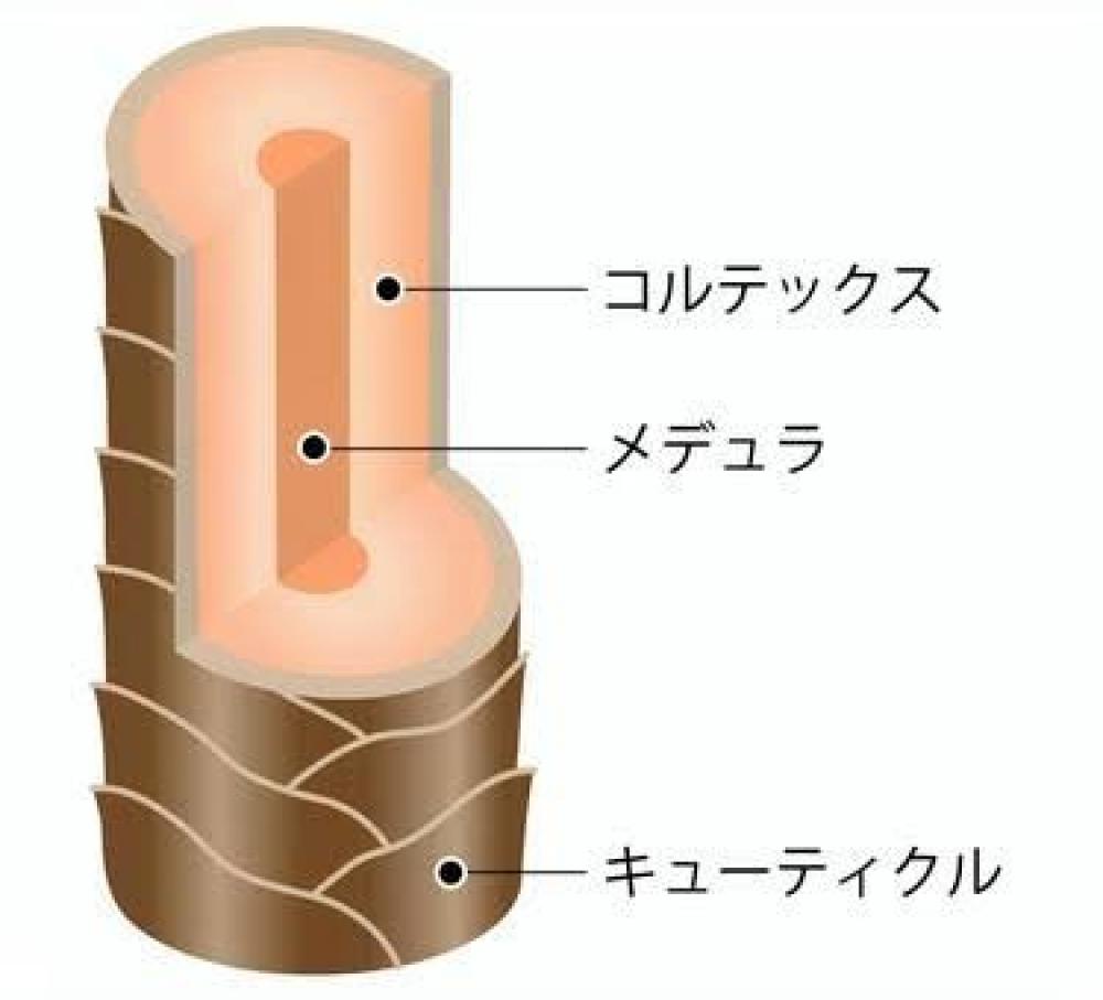 さらに内部補給と外部補給を繰り返す