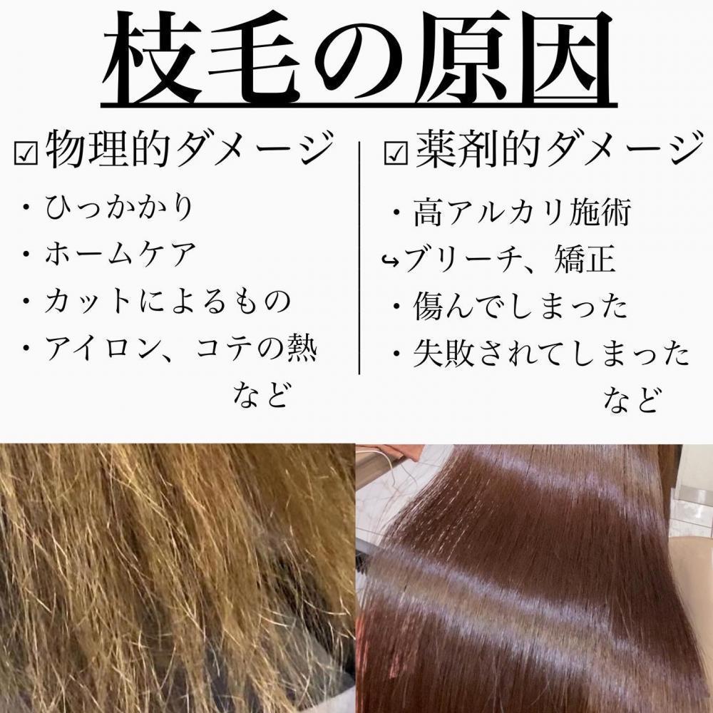 【なんで、枝毛って出来ちゃうの？】