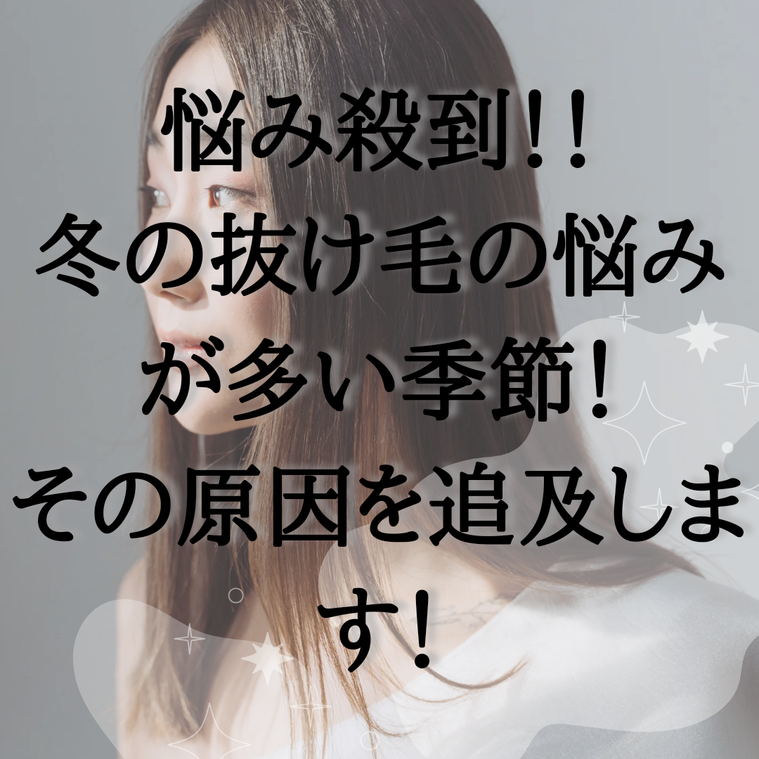 悩み殺到！！冬の抜け毛の悩みの方が増えています！その原因を追究します！