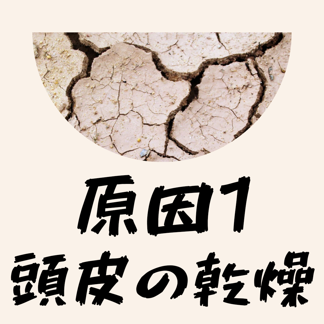 原因①頭皮の乾燥