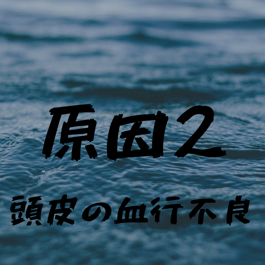 原因②身体、頭皮の血行不良