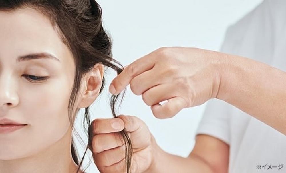 プロフェッショナルの指先が操るのは 指ひとつまみ分の「毛束1cm」。