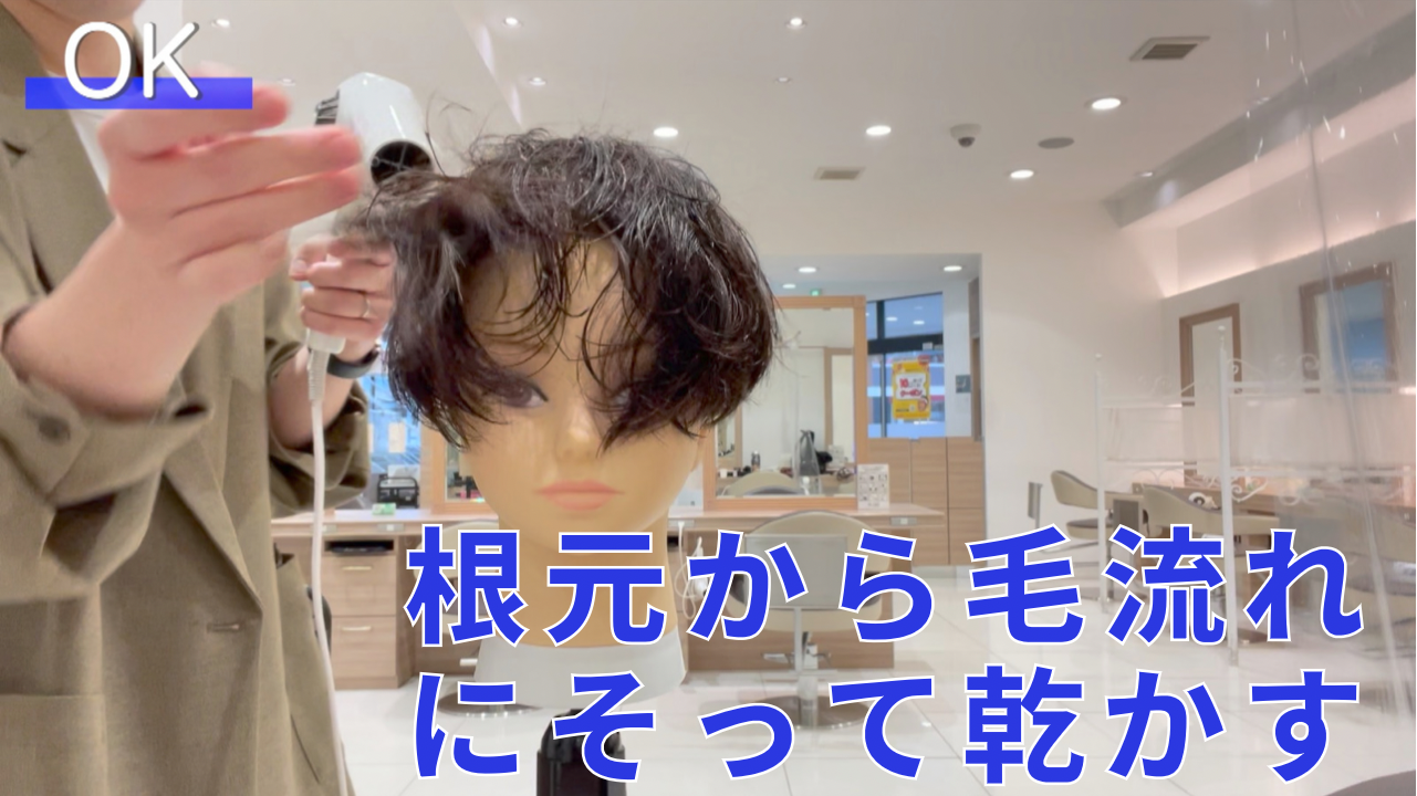 OK行為③根元から毛流れにそって乾かす