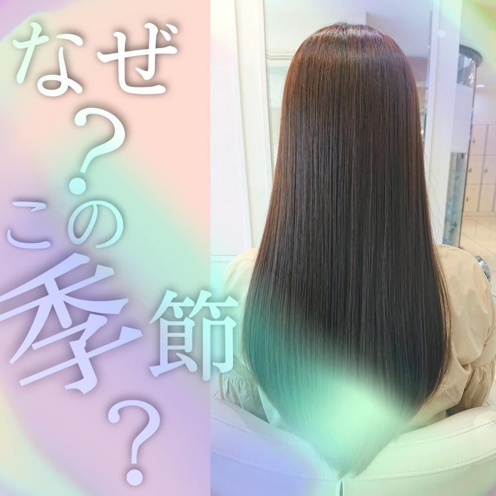 なぜこの季節？？