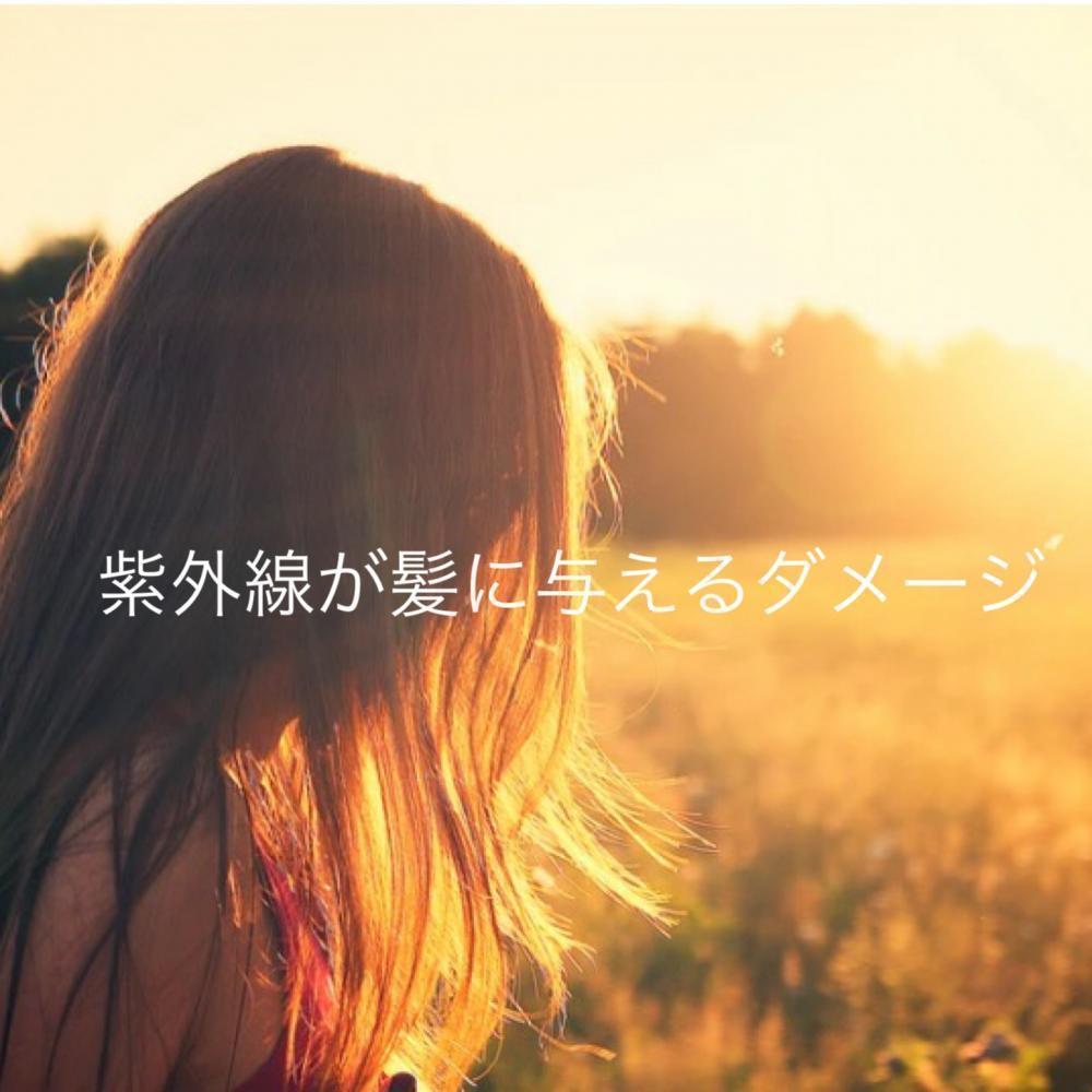紫外線が髪に与えるダメージとは？