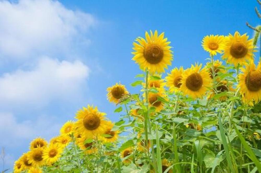 夏には夏の対策を!