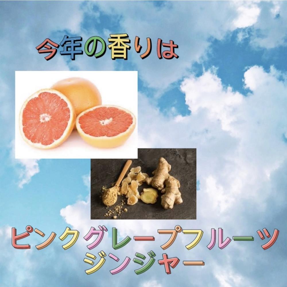 ✳︎ 匂いはピンクグレープフルーツジンジャー
