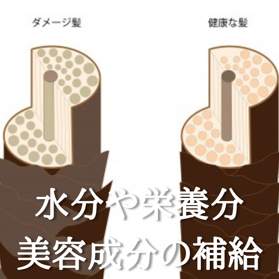 トリートメントってなんのためにあるのか!?