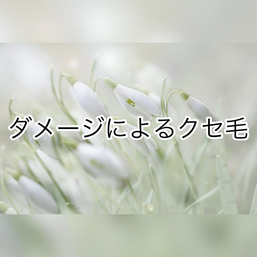 ダメージによるクセ毛