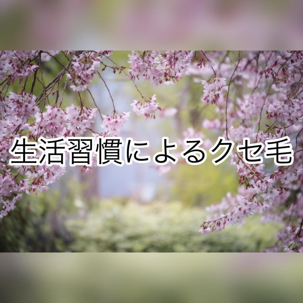 生活習慣によるクセ毛