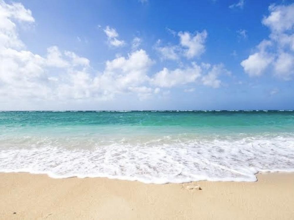 プール・海
