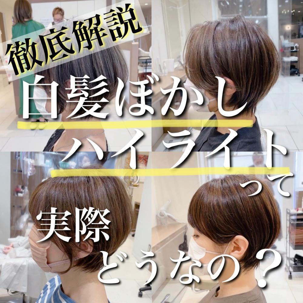 【白髪ぼかしハイライト】って実際どうなるの？