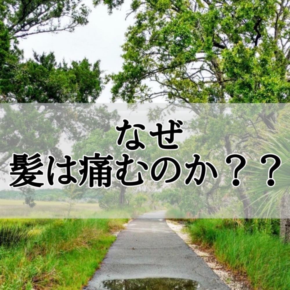 ダメージ要因を解説！