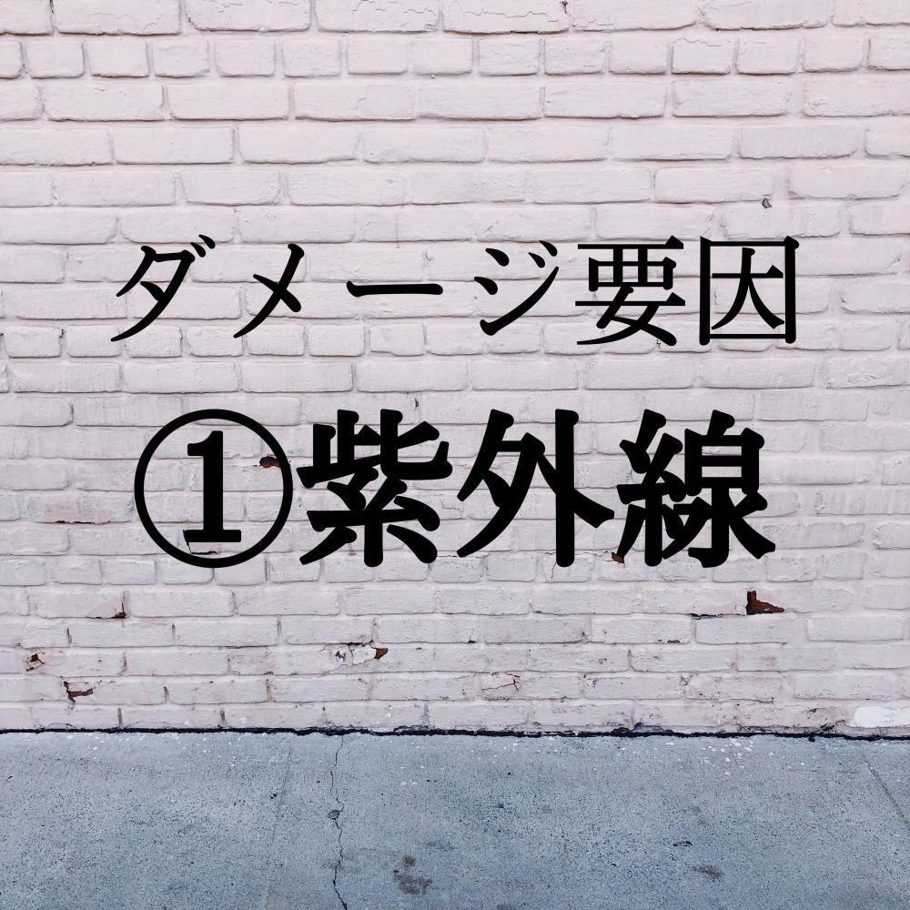 ダメージ要因①紫外線