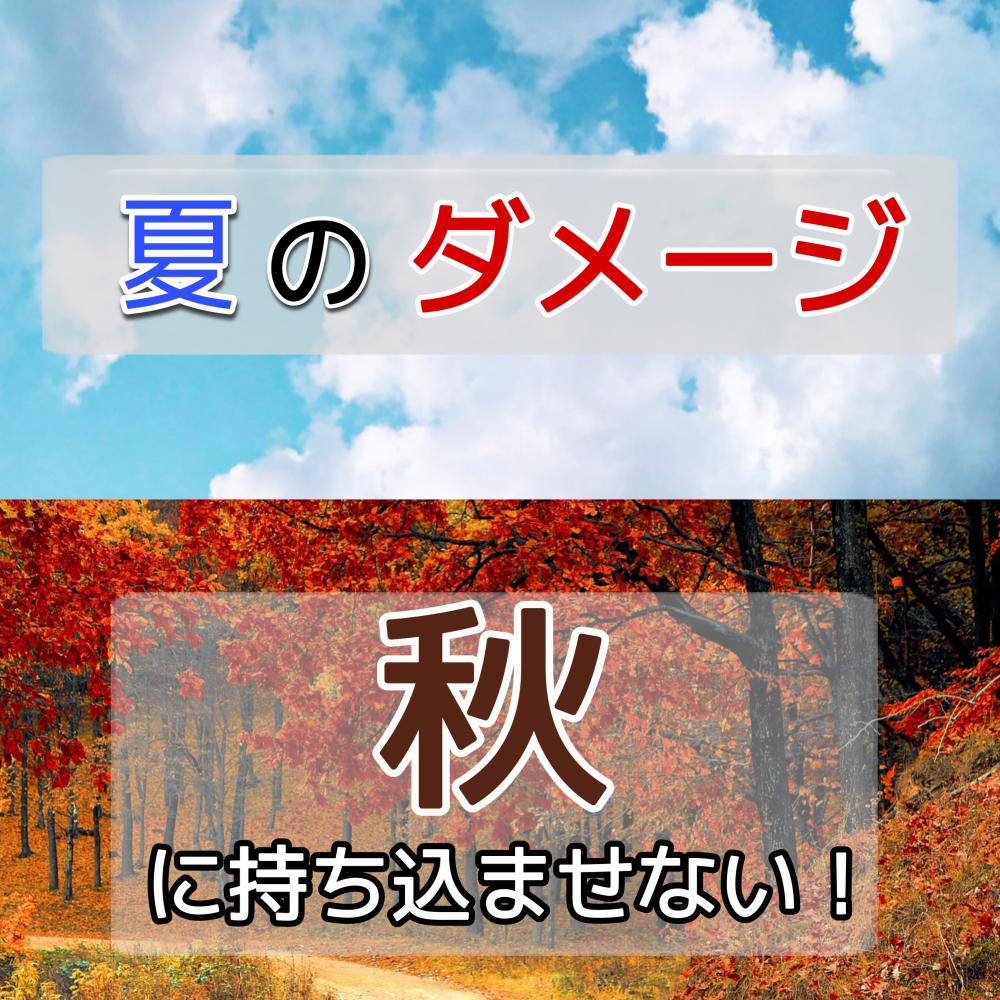 《パサつきに悩む方必見！》夏のダメージ、秋に持ち込ませない！今からできる対策！