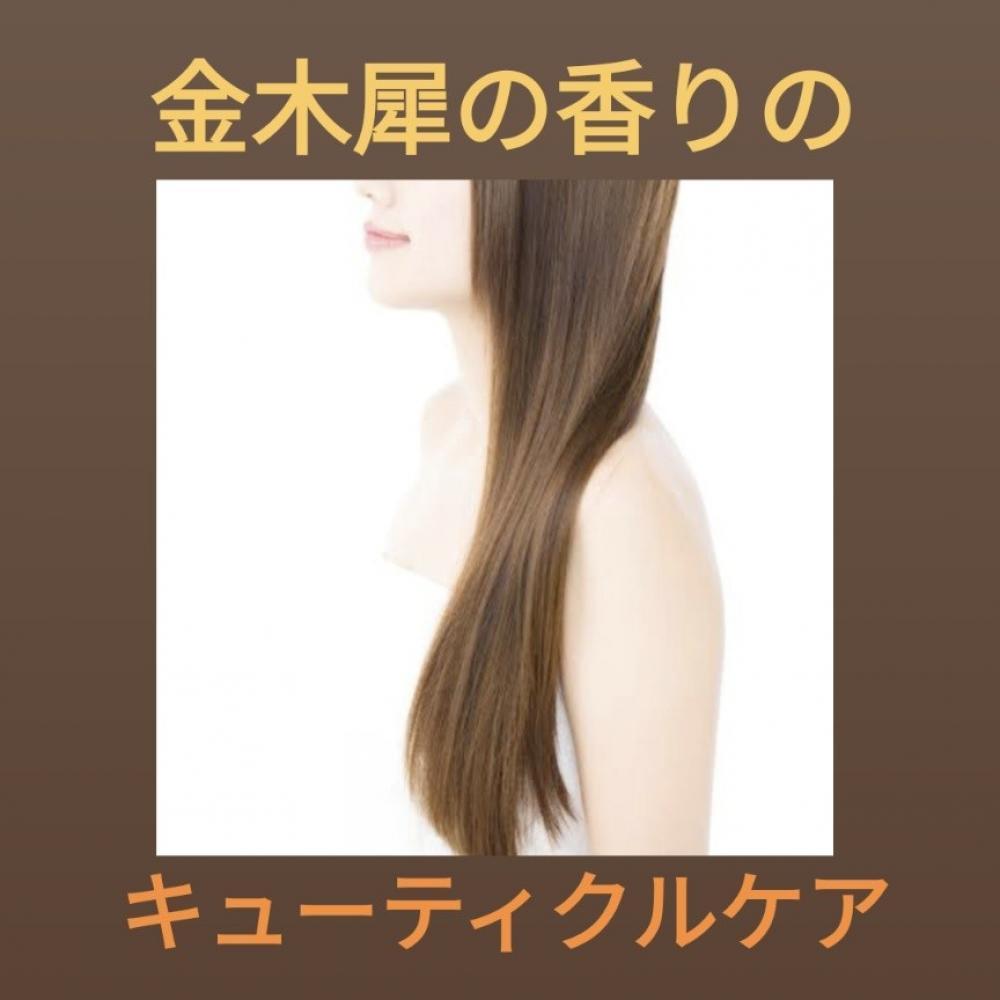 微粒子汚れから髪を守るEXSHIELD