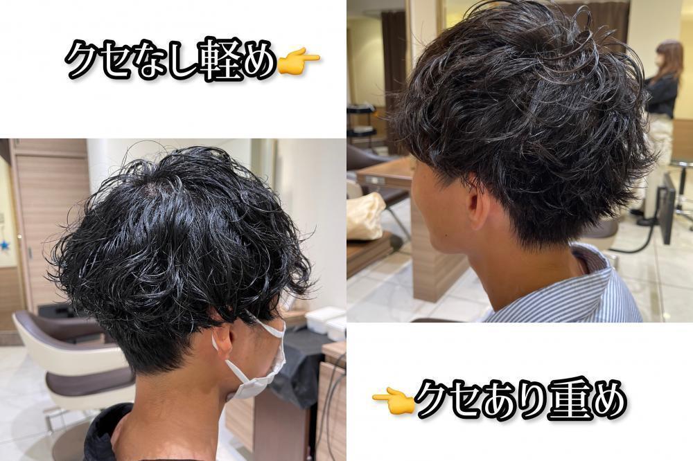 髪質での違い
