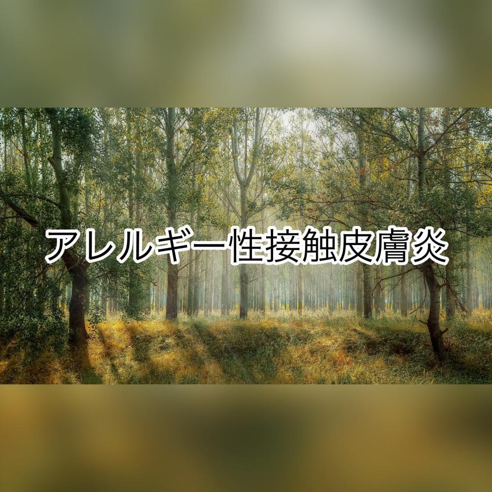 アレルギー性接触皮膚炎