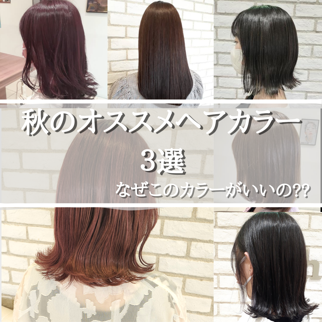 なぜこのカラーがいいの??秋のオススメヘアカラー3選！