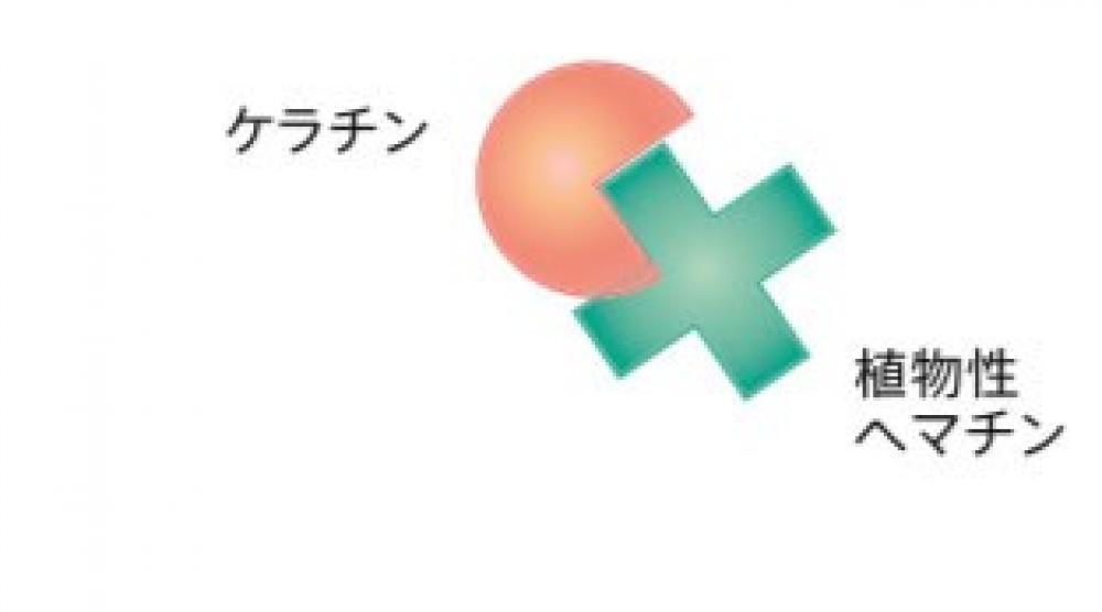 不溶化技術（トリートメントの持ちを良くする）