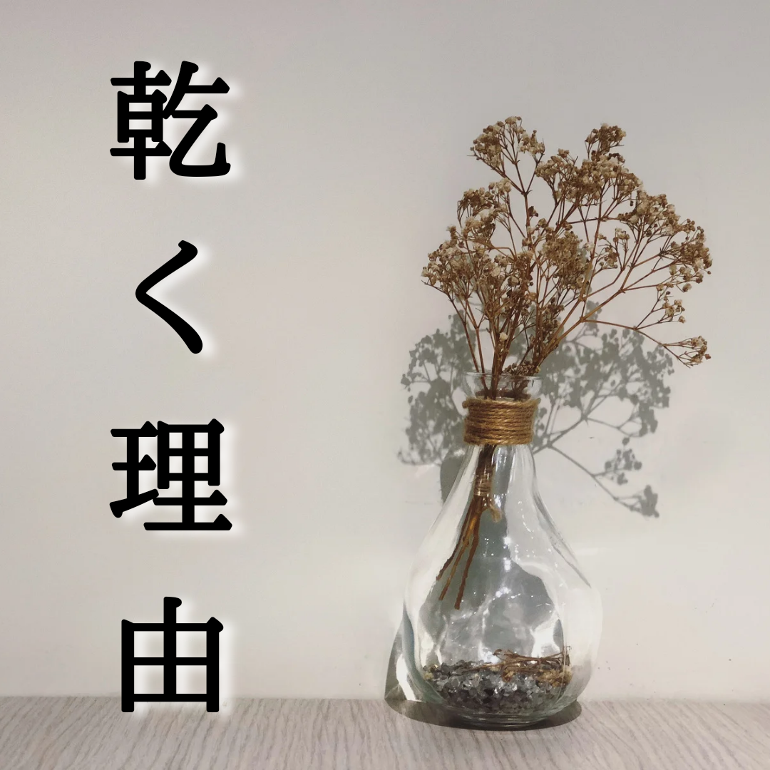 乾燥しちゃう理由