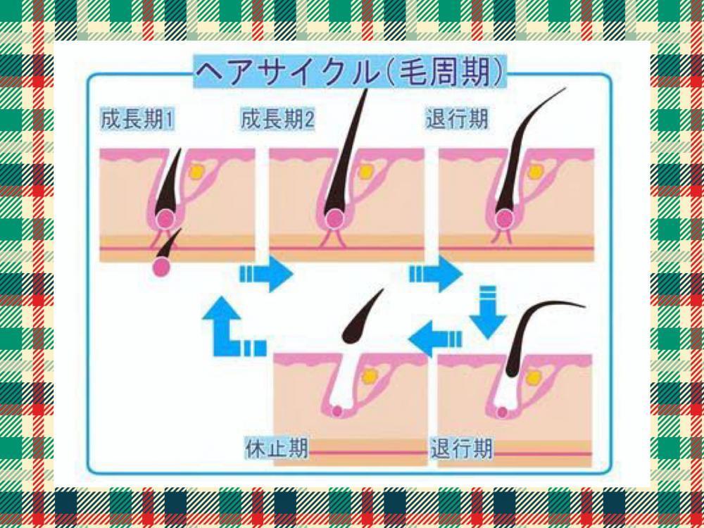 ヘアサイクル