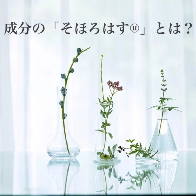 そほろはすとは？