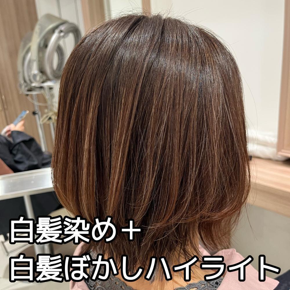 白髪染め＋白髪ぼかしハイライト