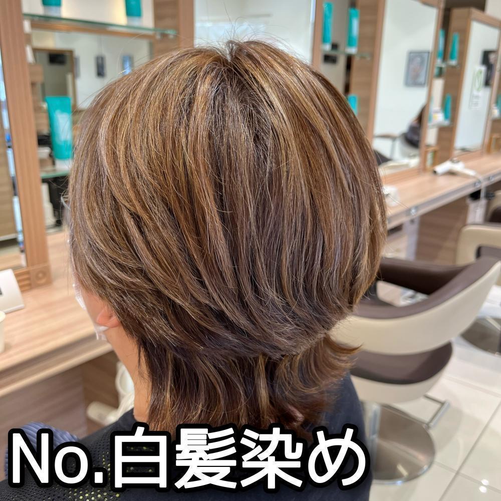 Ｎo!白髪染め　白髪ぼかしハイライト