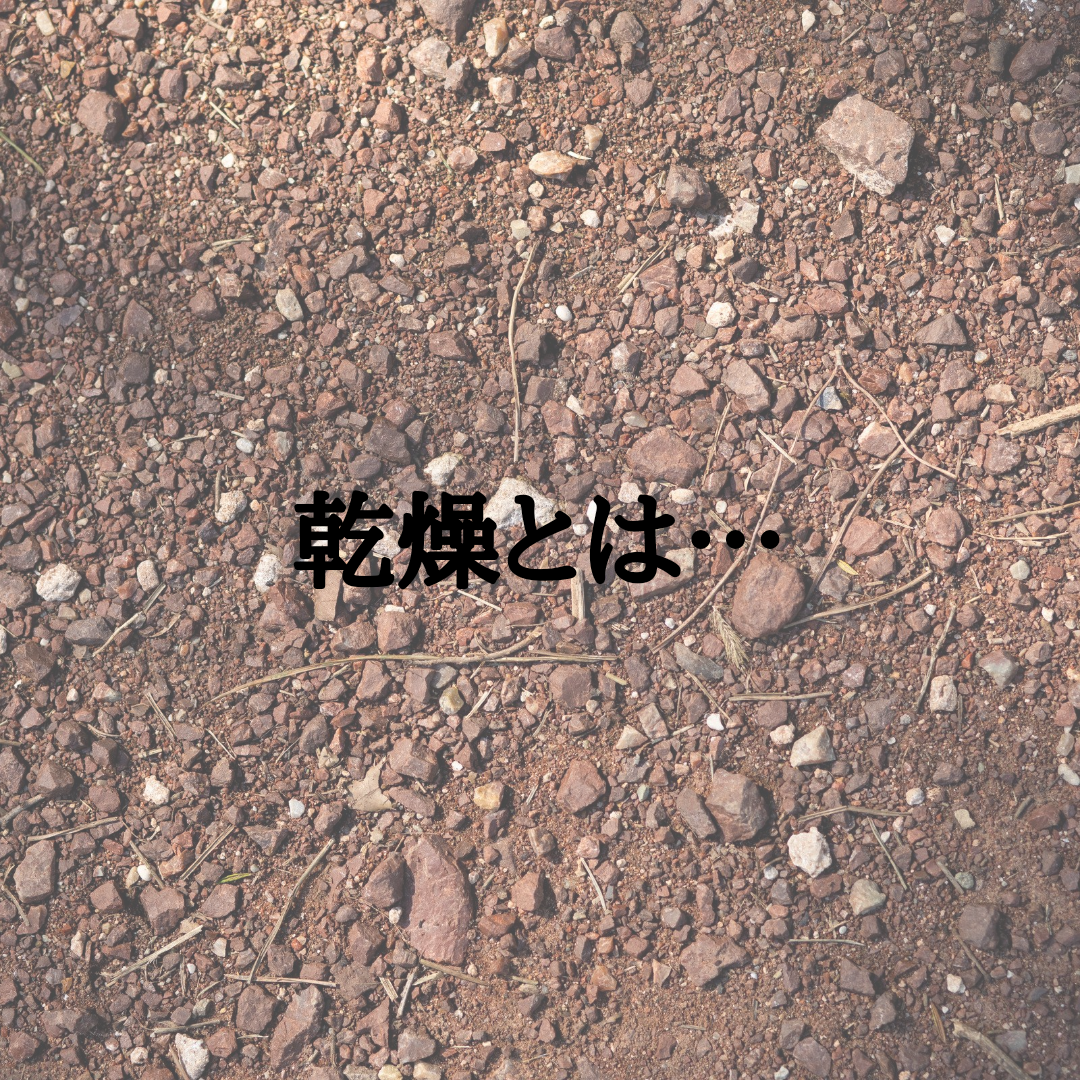 髪の毛が乾燥すると…