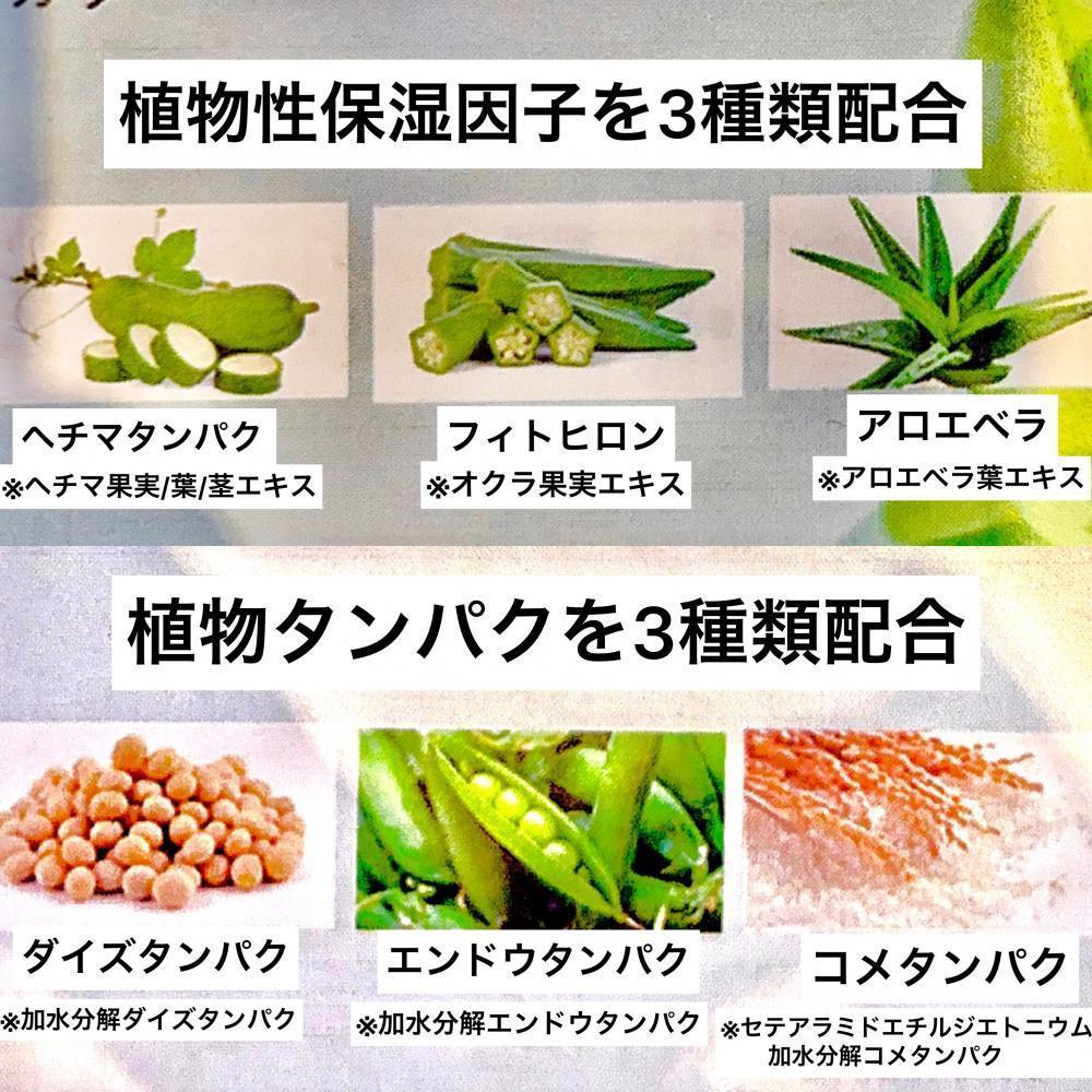 何が入ってるの？