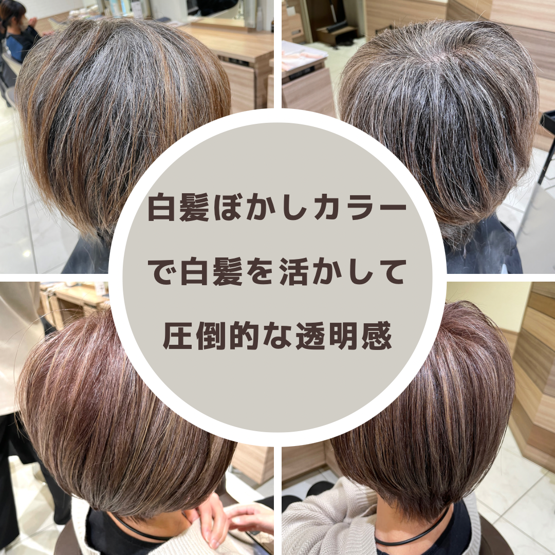 【家郷限定】白髪ぼかしカラー　施術内容のご紹介　No.3