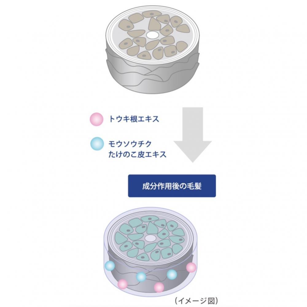 新商品オージュア・PRESEDIAプレセディアについて・・・