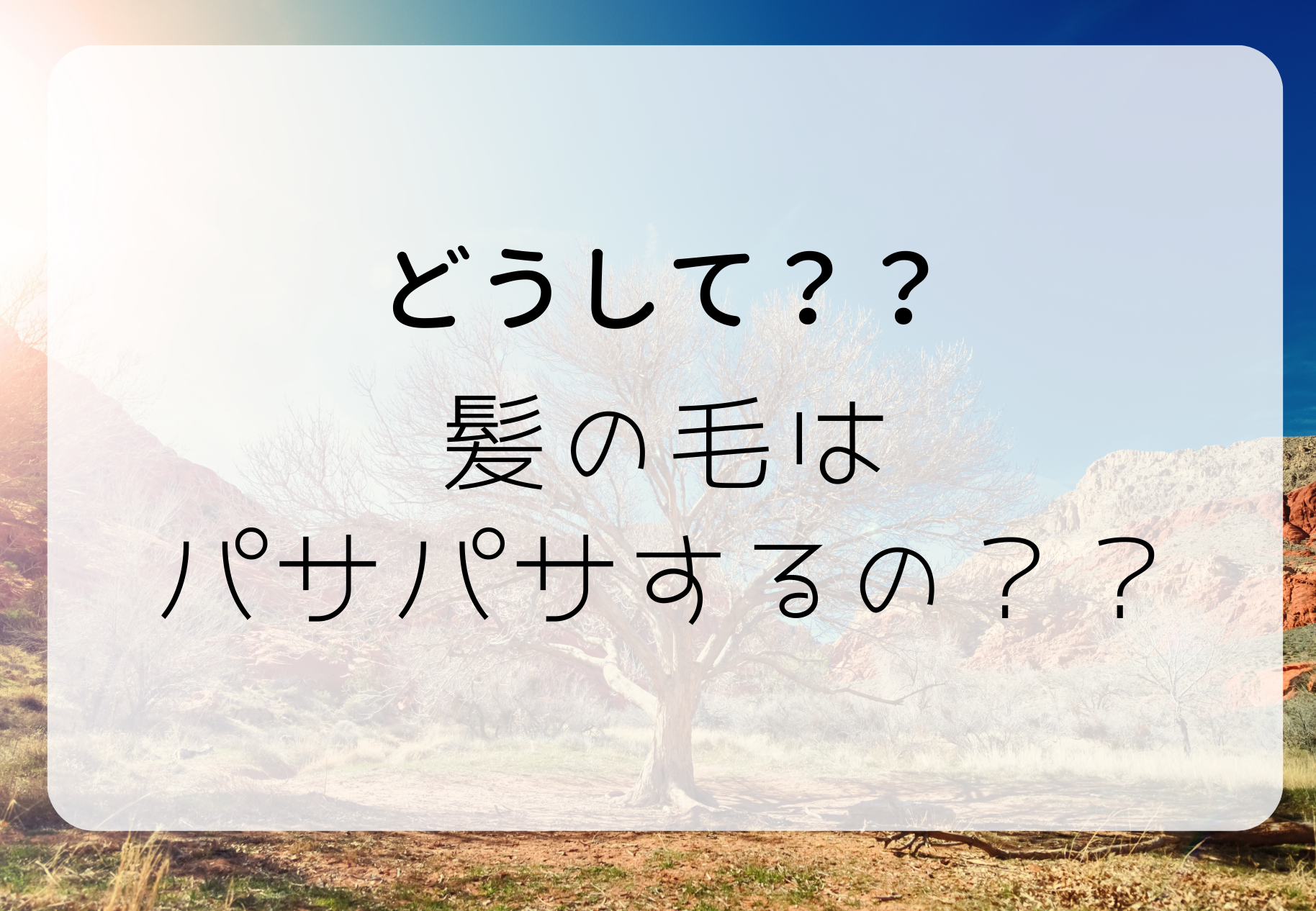 ★どうして髪の毛はパサパサするの？？★