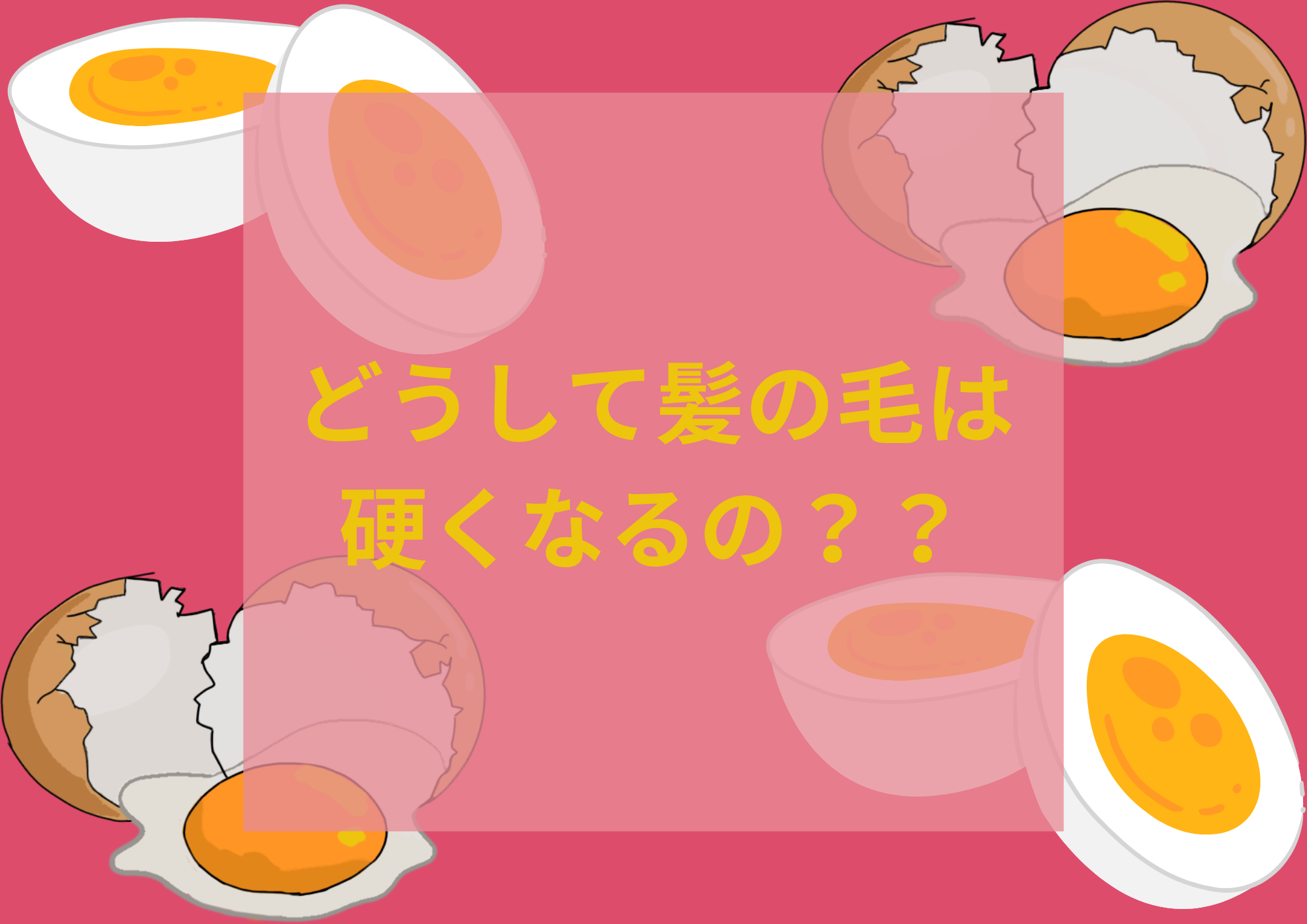 ★どうして髪の毛は固くなるの？？★