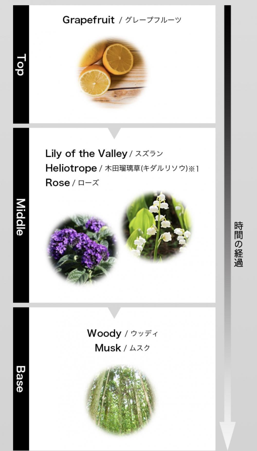 爽やかなシトラス・フローラルの香り！そして時間の経過によって香りが変わる！