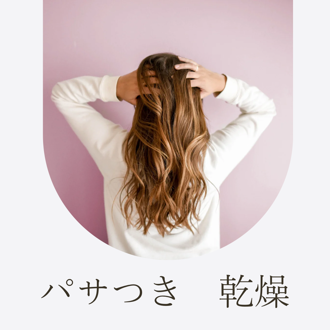 レディース　NO.1 ダメージによるパサつき、乾燥