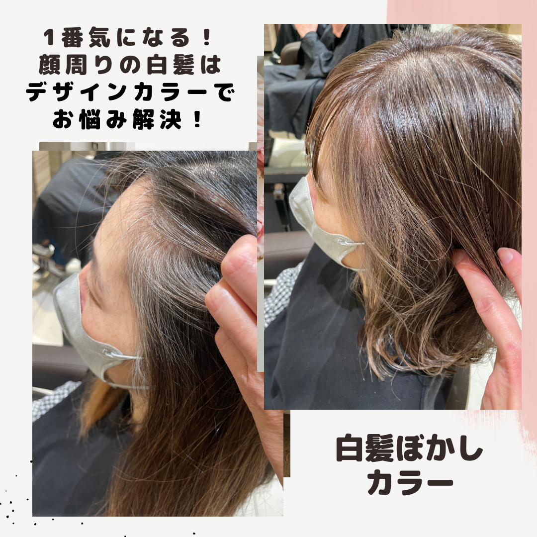 【家郷限定】白髪ぼかしカラー　施術内容のご紹介　No.4