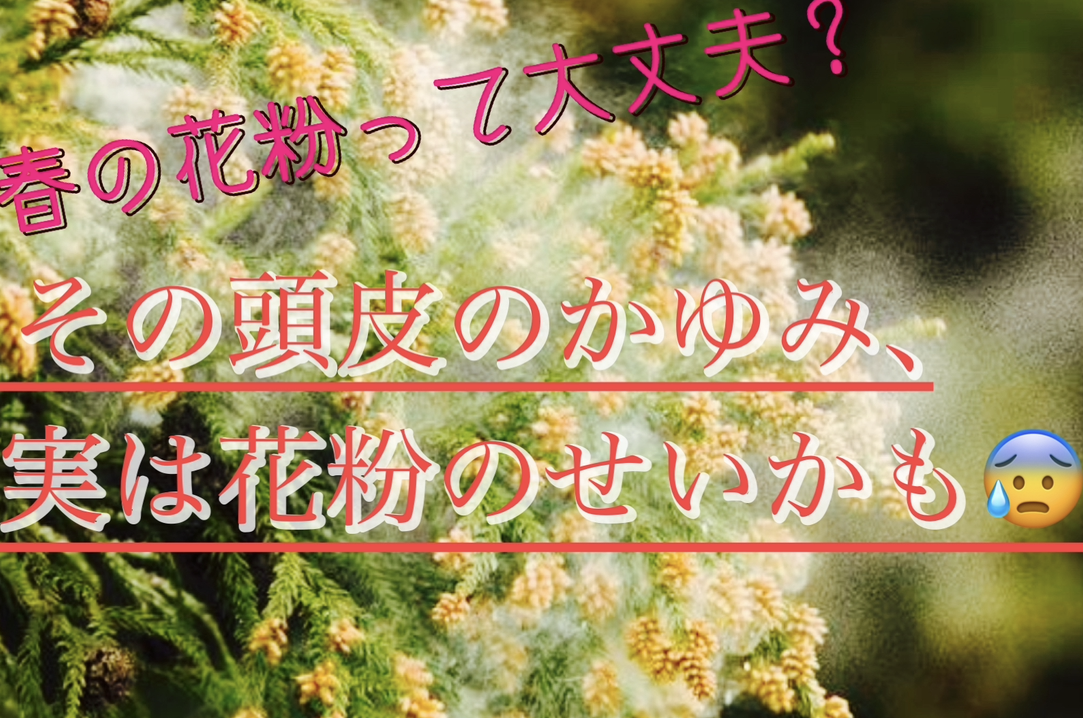 【春の頭皮のかゆみ、実は花粉のせいかも！？】花粉による頭皮の影響