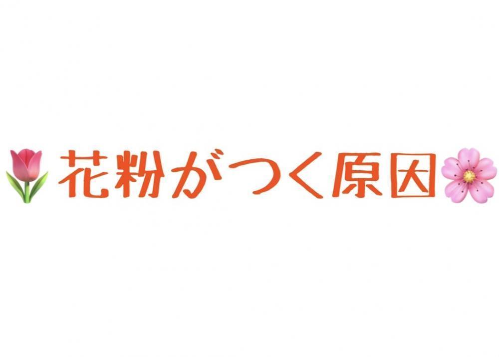 花粉がつく原因