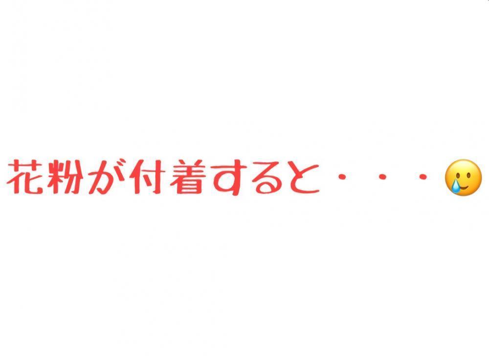 花粉が付着すると