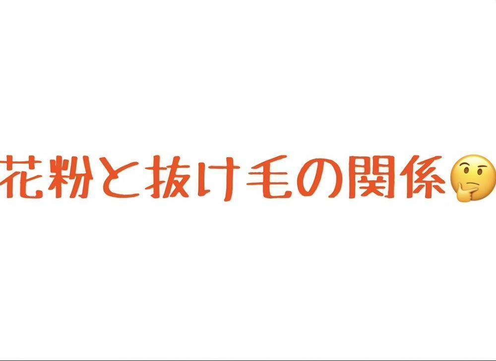 花粉と抜け毛の関係