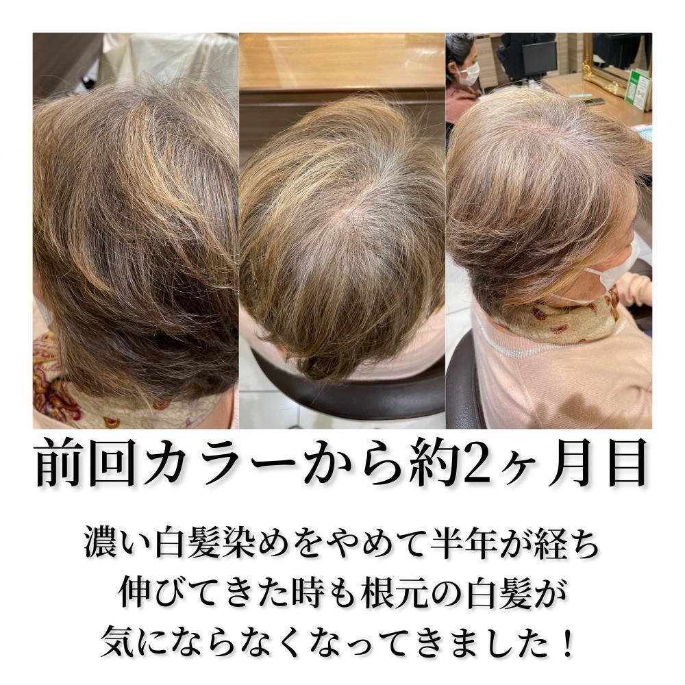 前回のカラーリングから約2ヶ月の状態。