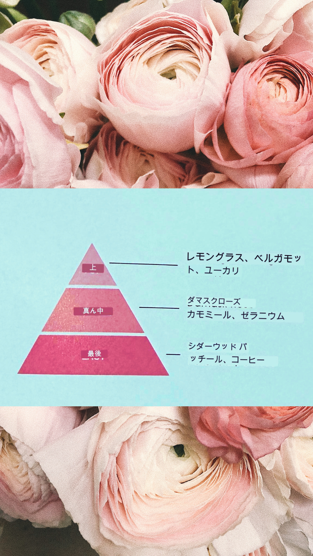 どんな香り？