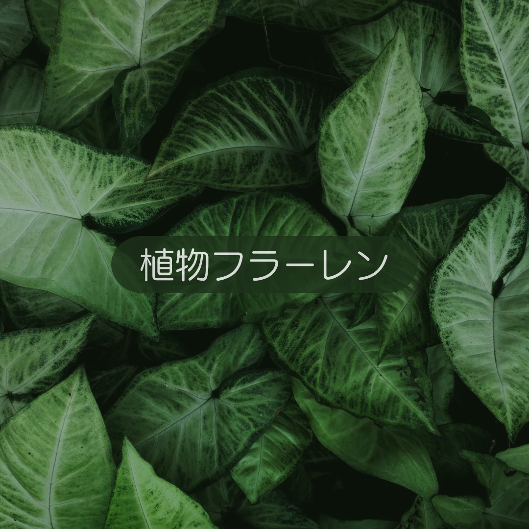 特徴その2植物フラーレン