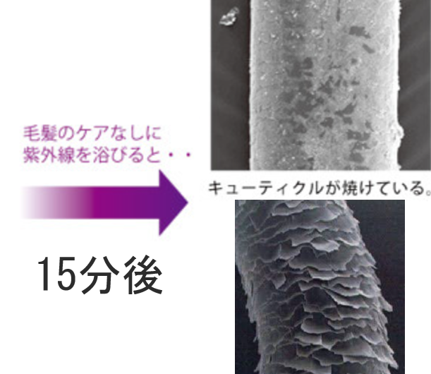 なぜUVケアをした方がいいのか？？