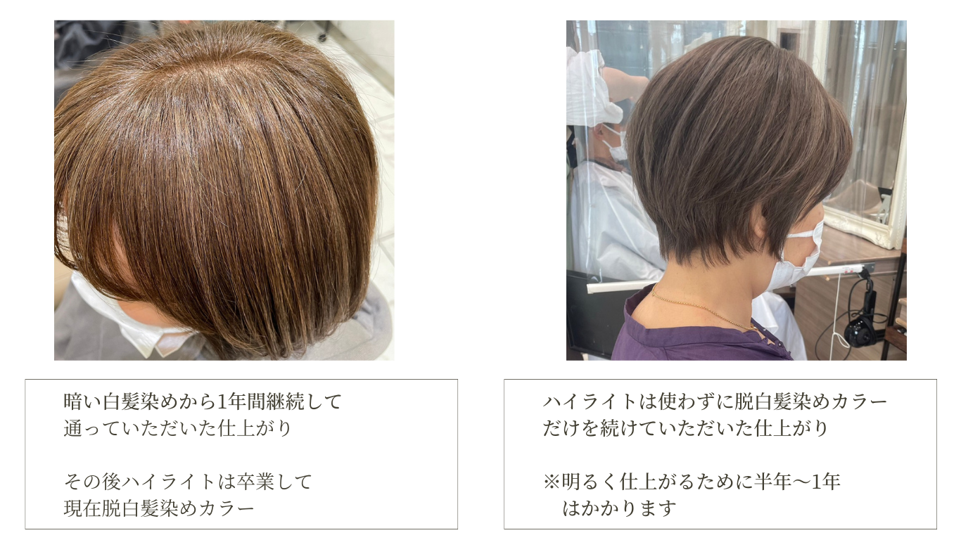 人気No'2  ”白髪を馴染ませる”白髪ぼかしカラー