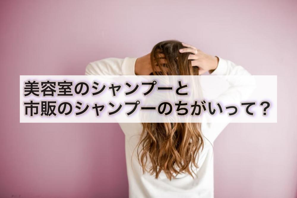 髪のホームケア  〜シャンプー編〜