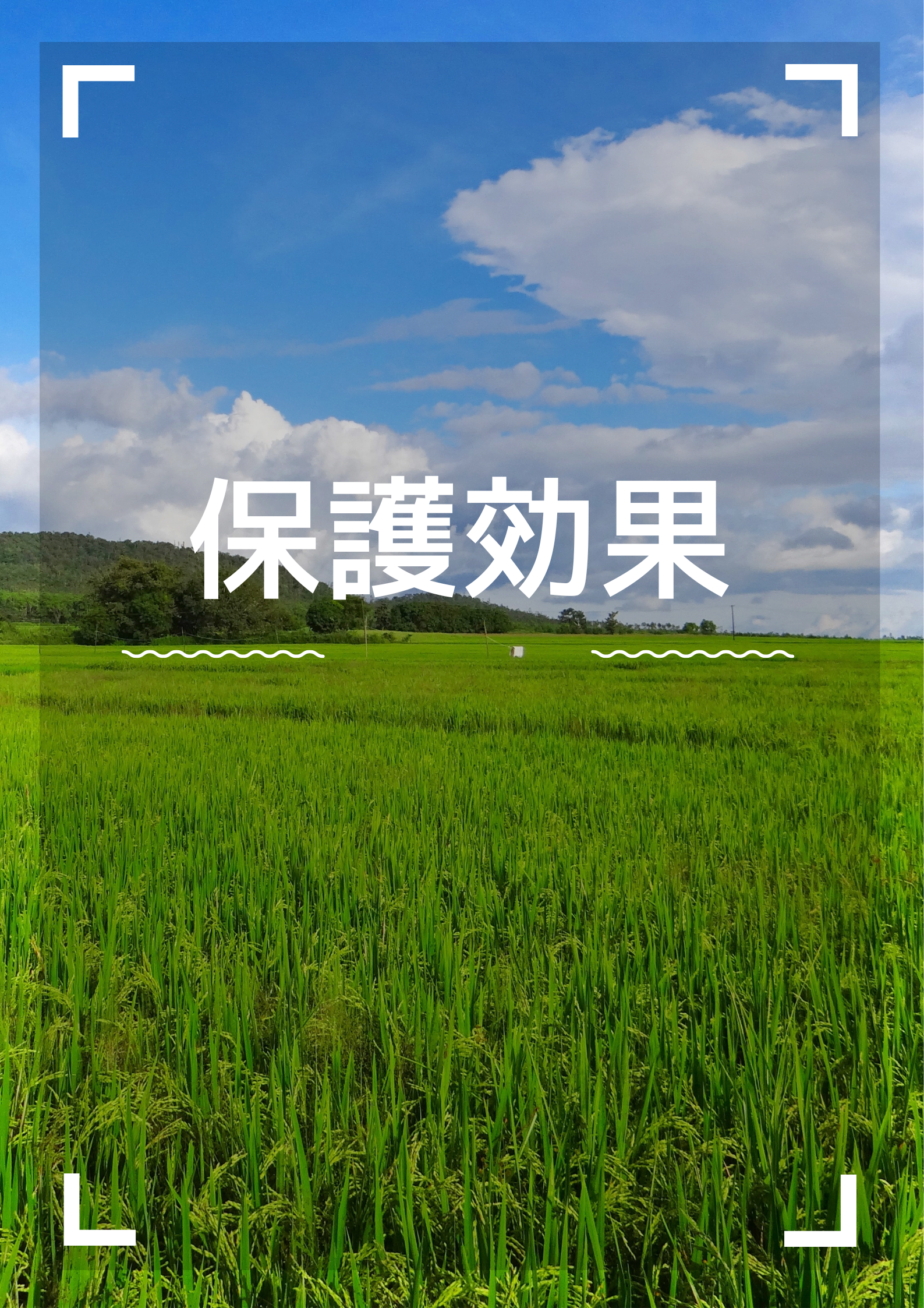 魅力的な効果その3【保護効果】