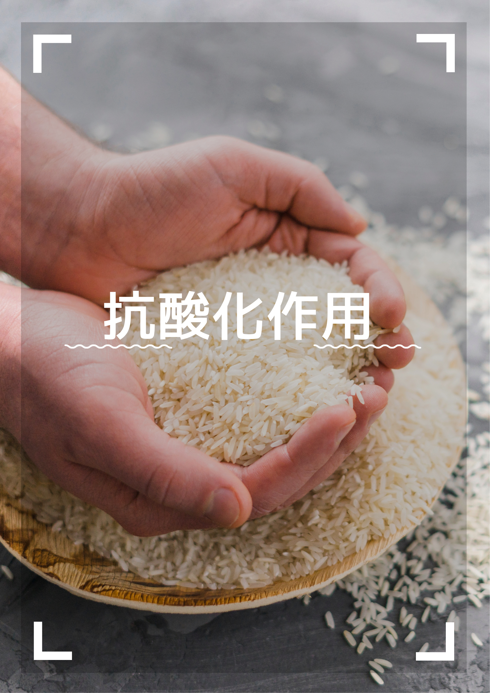 魅力的な効果その4【 抗酸化作用】